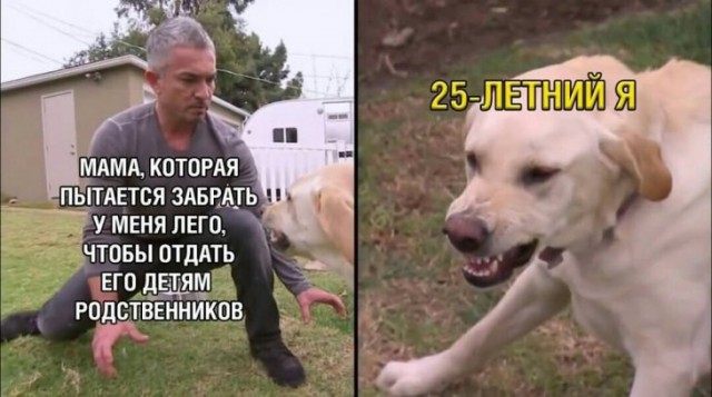 Картинки и мемы для настроения 02.08.2021