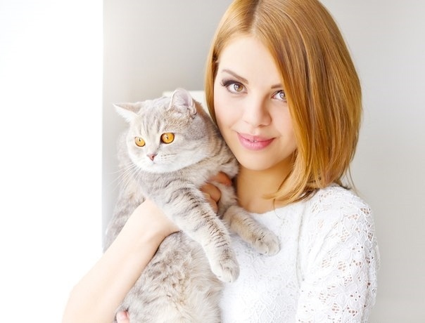 Девушки котовторника