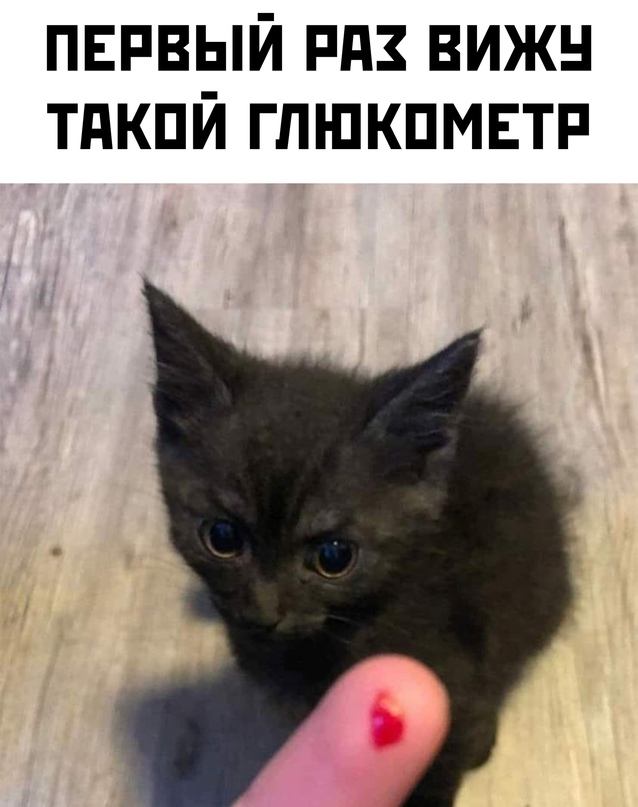 Весёлый полтишок 10.01