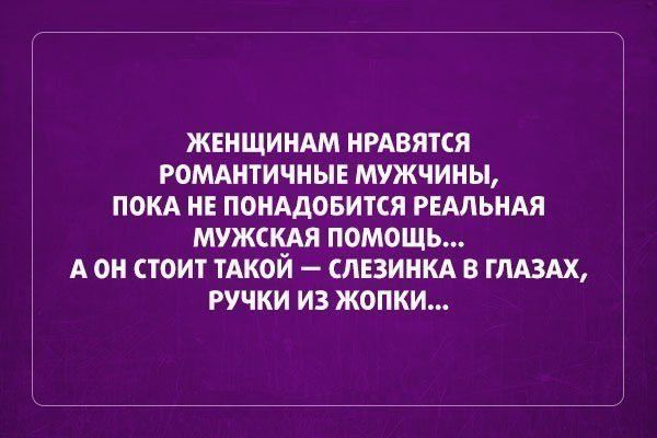 Человек собаке друг и другие картинки под настроение 13.01.2022