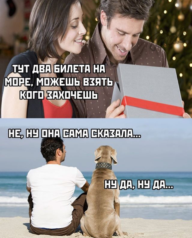 Умеешь сочинять рассказы? Это то, что нам нужно! Очередной литературный баттл стартовал!