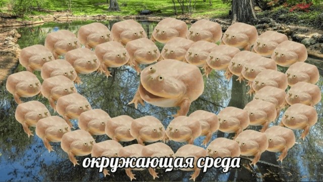 Картинки несуразные