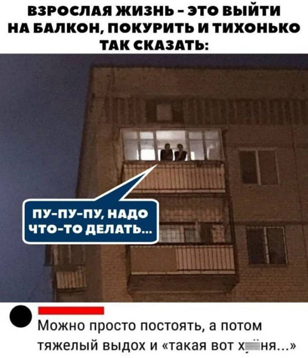 20 баянов про всякое