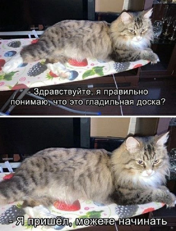 Картинки и мемы для настроения - 009