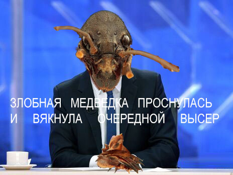 Медведев читает ЯП?