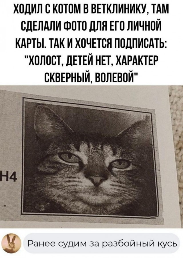 Картинки и мемы для настроения - 187