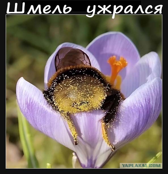 Картинки с надписями 09.07.23
