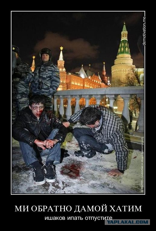 Руссо туристо облико морале