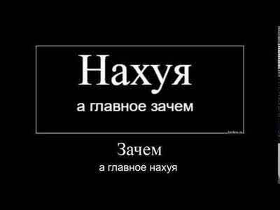 Ни в одном океанариуме нет гигантских кальмаров — вот три главные причины