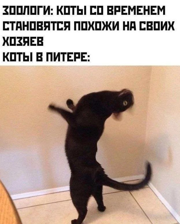 Трудовыебудни подошли к своему завершению. Подборка из интернетов без общей тематики.