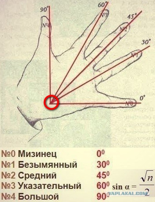 6 школьных приемов, которые выручат и во взрослой жизни
