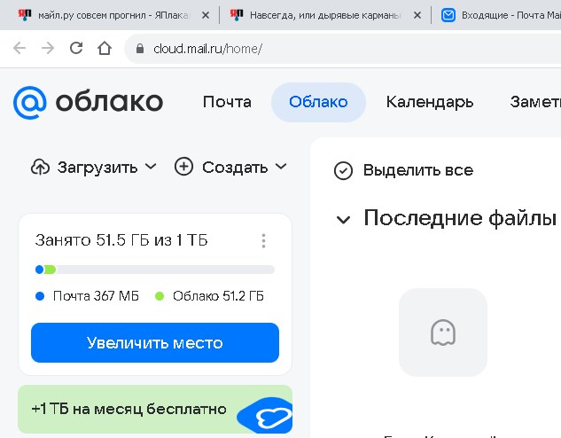 Навсегда, или дырявые карманы?