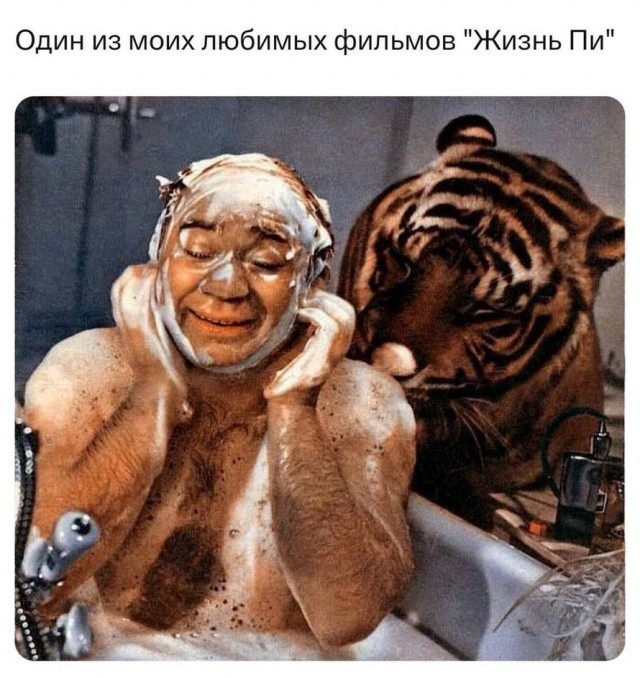 А какой у вас любимый фильм?