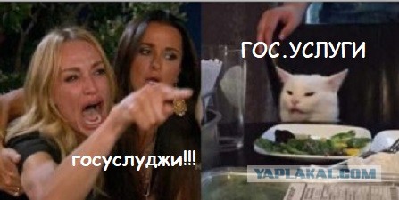 В Хвиттере американцы всерьёз поверили мему, что россияне голосовали за Трампа через Госуслуги