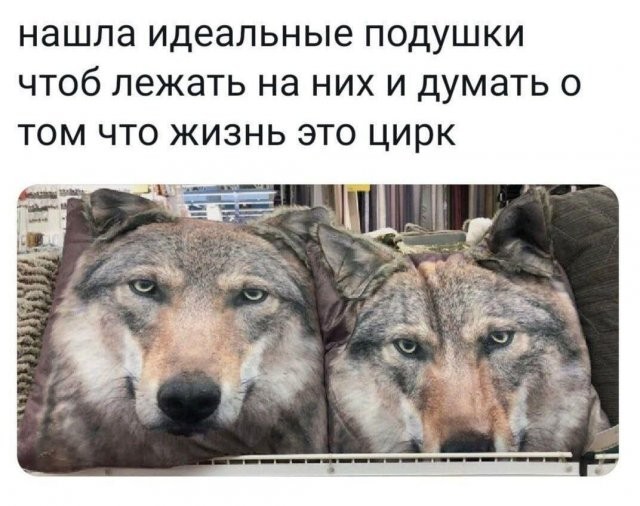 Картинки и буквы 06.12.24