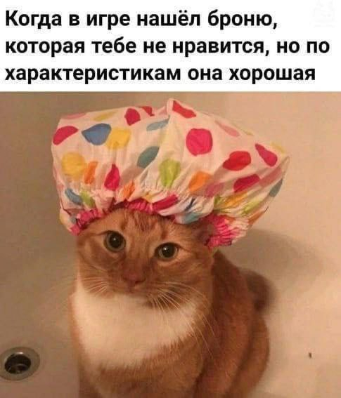 Веселые картинки в пятницу (07.02)