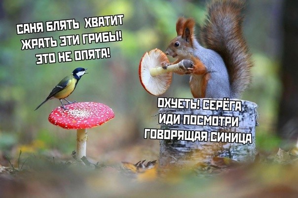 Воображаемая действительность