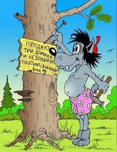 Так себе картинки 29.04.25