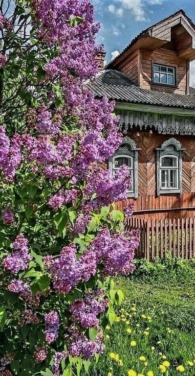 Прикольные и просто красивые картинки 08.05.2025