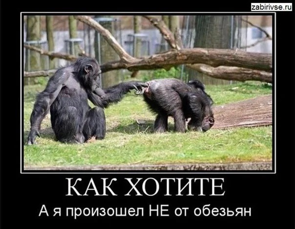 Ну что деграданты, начинаем эту неделю!
