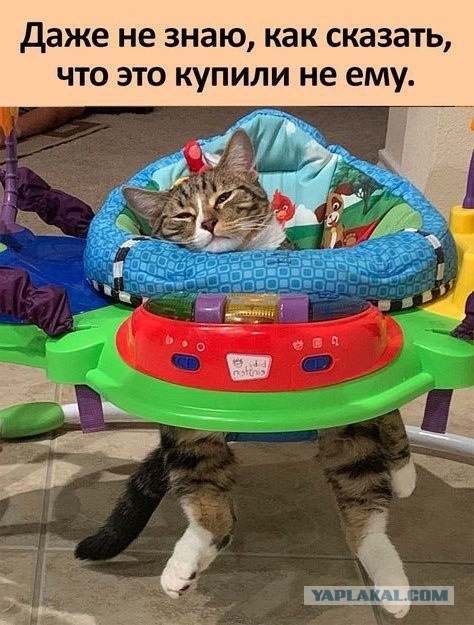 Так себе картинки 29.08.25