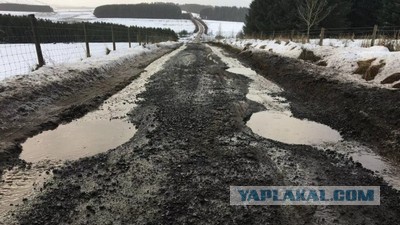 Можете ругаться и материться!