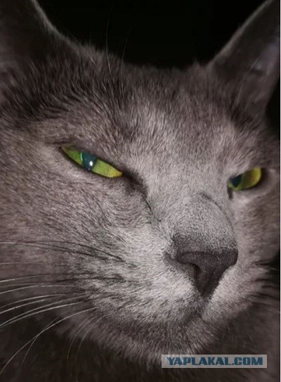 Как простить измену, если она была давно?