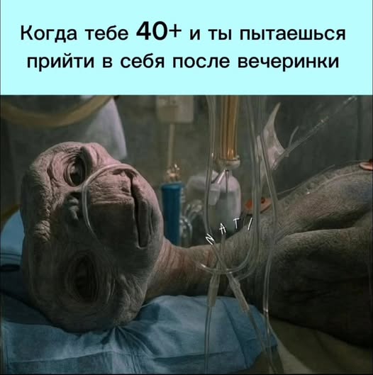 Пятничные бояны