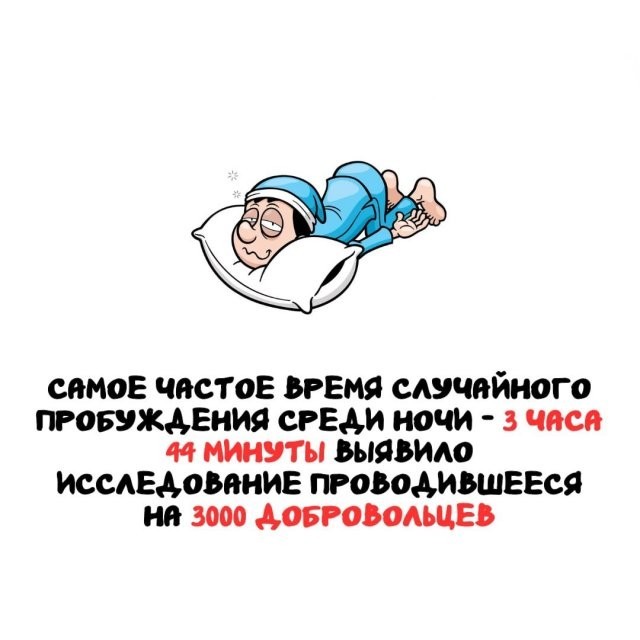 Подборка интересных фактов на все случаи жизни 26.11.25
