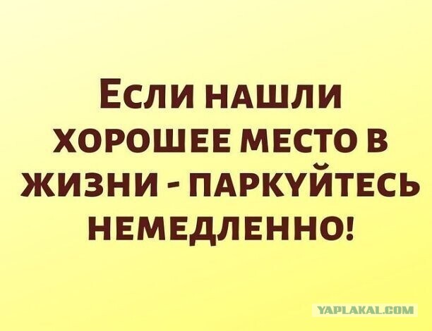 Пятничные картинки