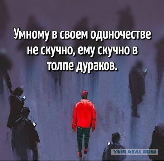 Почему у умных людей пропадает желание общаться с другими людьми: 5 основных причин