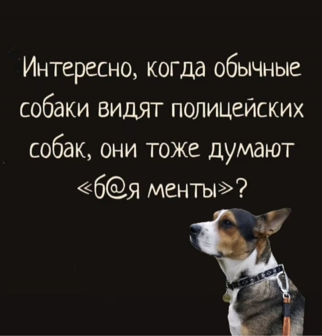 Картинки для деградации 203  (разной степени свежести)