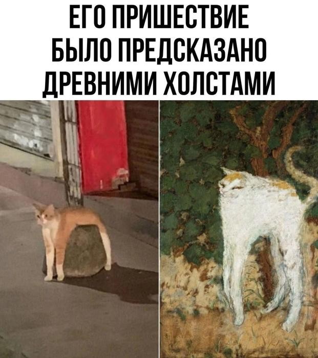 Картинки для деградации 205 (разной степени свежести)