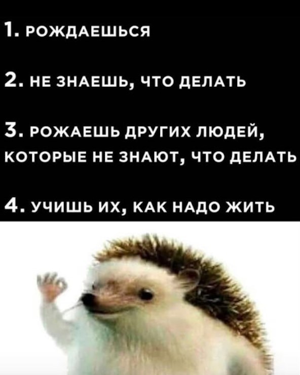 Картиночки, баянчики 05 июня