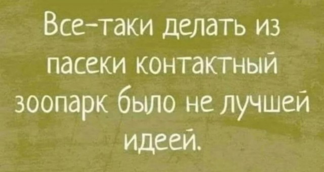 Картиночки, баянчики 15 июня