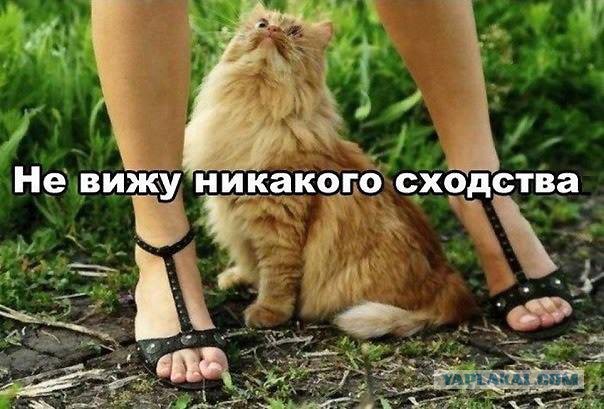 Подборка смешных картинок