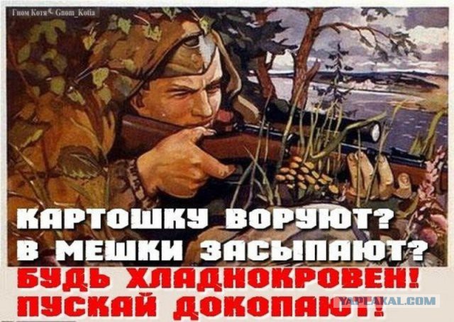 Колонна АТО попала в засаду под Красным Лиманом