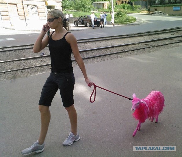 Улыбнуло часть "2"