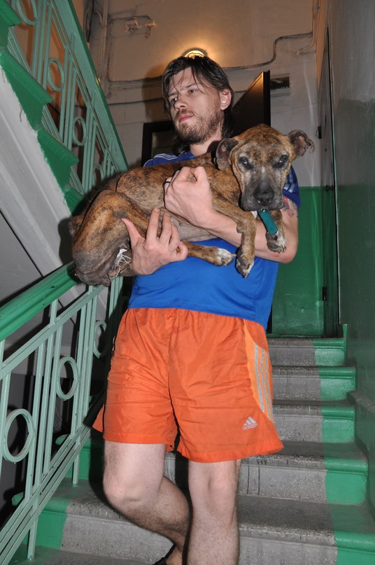 История спасения собаки