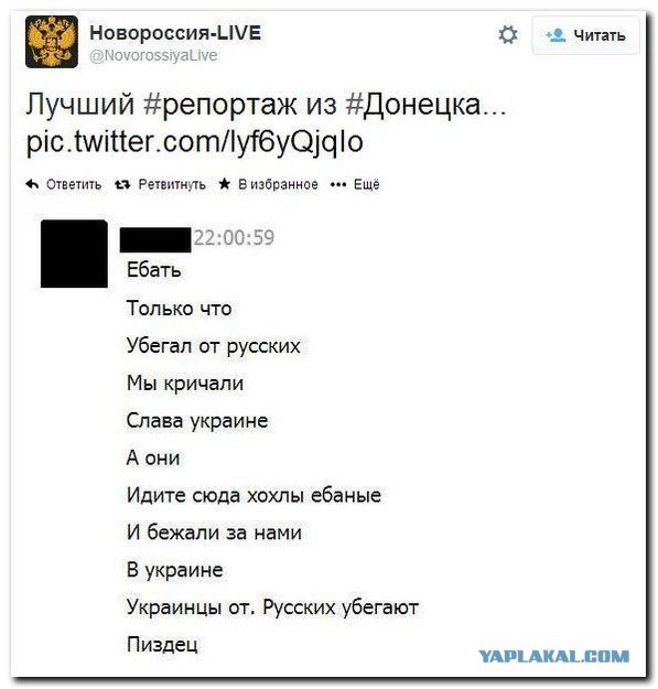 Свежие смешные комментарии из социальных сетей