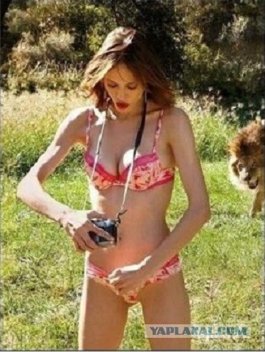 Прикольные фотобомбы