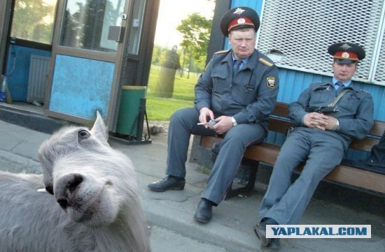 Слов не хватает!