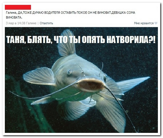 Смешные комментарии из социальных сетей