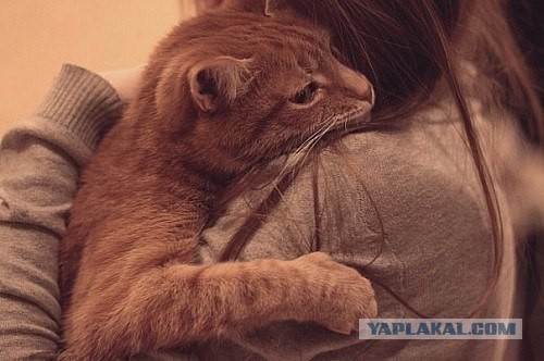 Эталон лживой шалавы