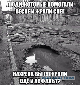 Прикольные фото и демотиваторы