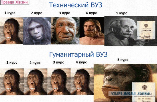 Нелегкие будни гуманитария