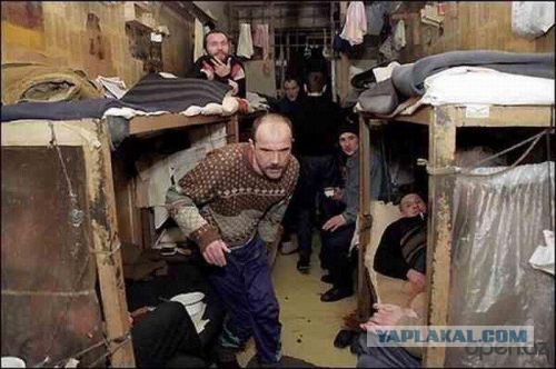 Как троллить нарков