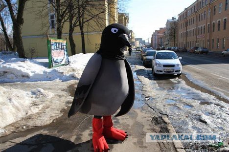 Подлый анонимный каломёт
