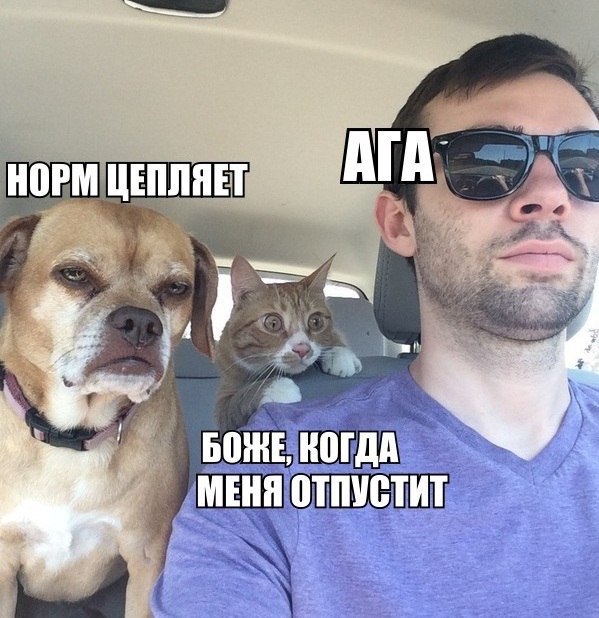 Подборка баянов.