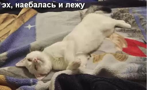 Подруга спалилась. На внимательность.